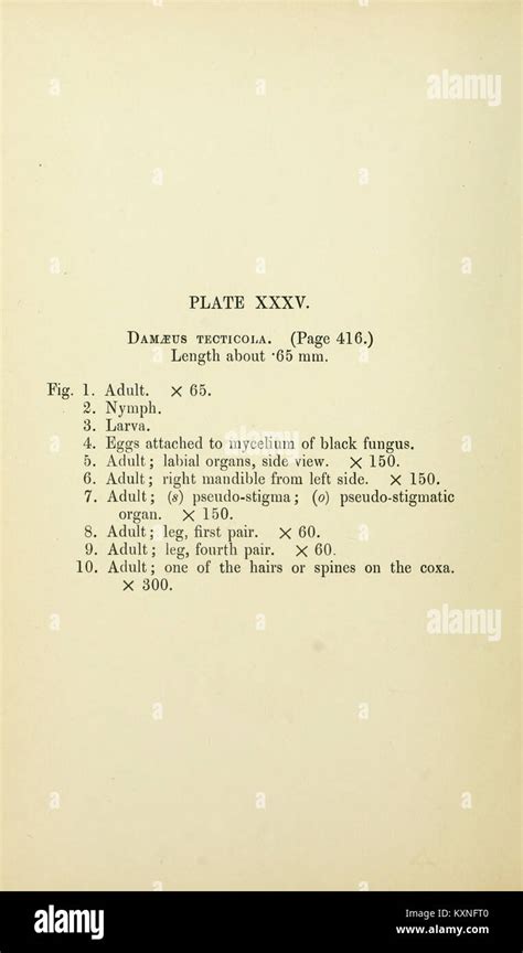 'xxxv' Search .